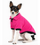Hot pink polar fleecy on Terrier