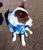 AFL Dog jumper - North Melbourne Kangaroos - front view