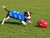 AFL fleecy dog jumper - North Melbourne Kangaroos - Made in Australia