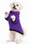 Maltese wearing polar fleece dog jumper made in Australia by My Pet