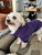 Molly lovely and warm in her Purple fleecy dog jumper