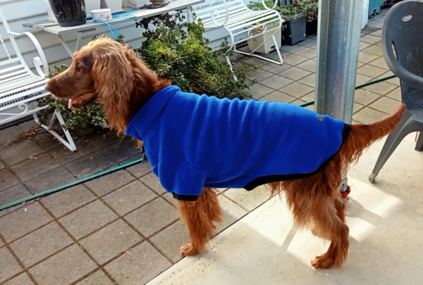 Royal Blue Fleecy Dog Jumper - Size 12 - Made in Australia by My Pet