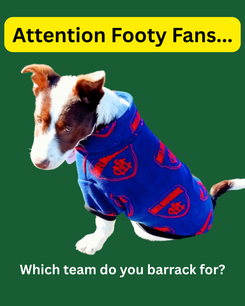 AFL (Melb) Warm Fleecy Dog Jumper | Made in Australia |  from