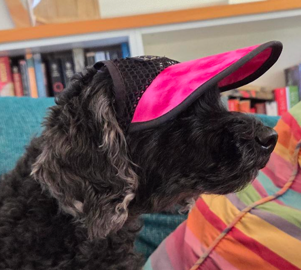 Dog Hat 532 Watermelon Pink/Mesh - made in Australia