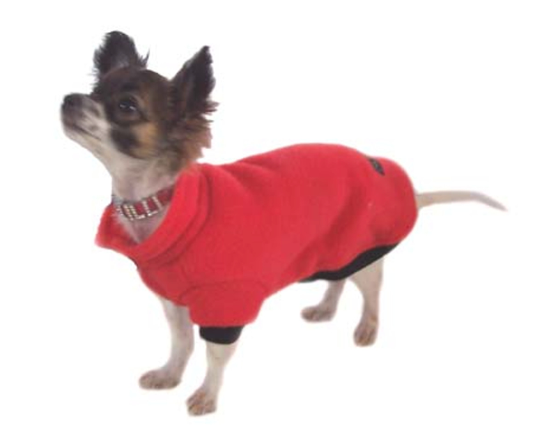 Best Dog Jumpers for Cold Australian Winters