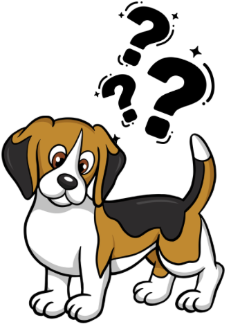 The animal-human link explained