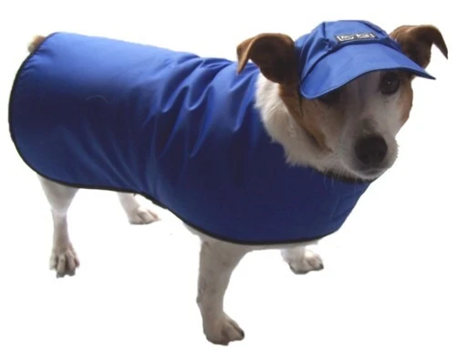 Bindi - waterproofed blue dog coat