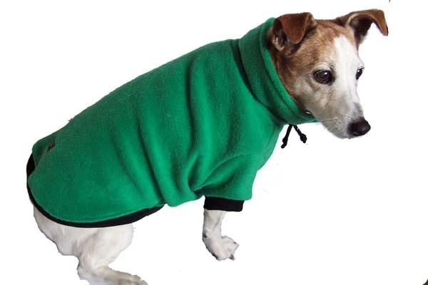 Bindi loves her green fleece dog jumper