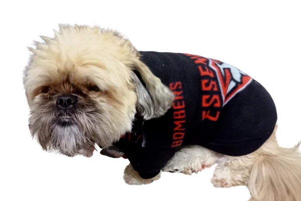 Fleece Essendon footy jumper