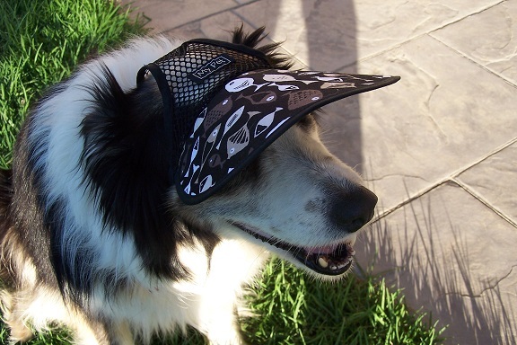 Dog Hat made in Australia - Molly