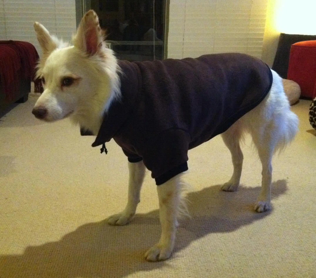 fleece dog jumper by My Pet