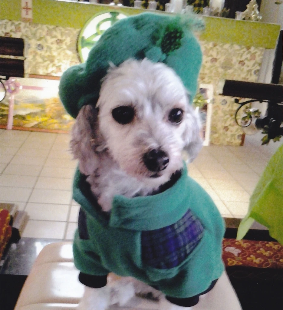 Fleecy dog jumper and hat by My Pet