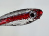 Looks Alive Minnow Beads  CLEAR REDLINE DACE