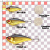 Size Comparison diagram of 1/8oz, 3/8oz, and 5/8oz rippin' shads. 