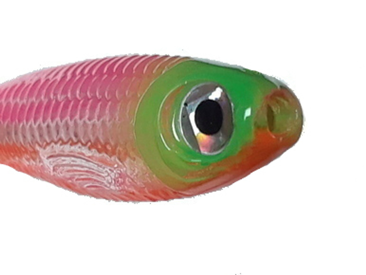 Looks Alive Minnow Beads TRANSPARENT FRUITY MINNOW 