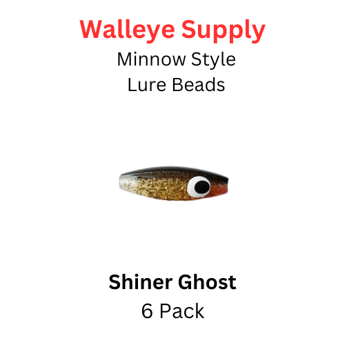 Shinner Ghost