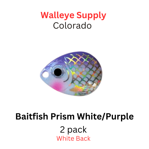 #4 1/2 Colorado Spinner Blade White and Purple Baitfish Prism