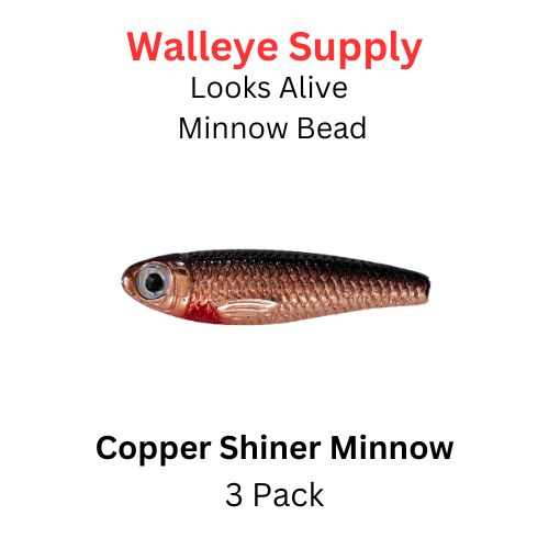Looks Alive Minnow Beads COPPER SHINER MINNOW