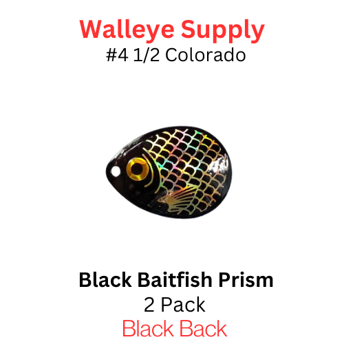 #4 1/2 Colorado Black Gold Baitfish Prism