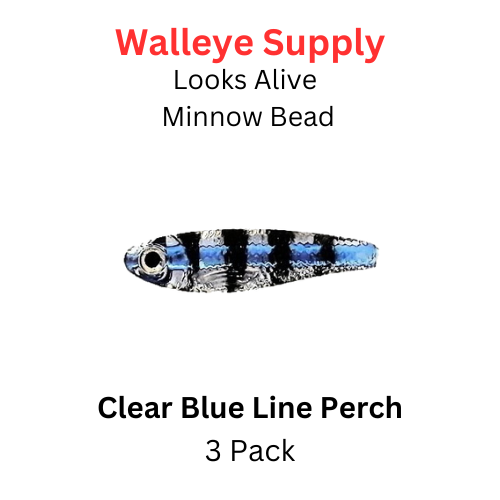 Looks Alive Minnow Beads CLEAR BLUE LINE PERCH
