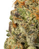 In-House Lemon Berry Hydro High 28.710% THCa - Sativa