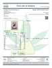 In-House Mule Fuel Hydro High THCa 27.115%- Indica