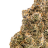 Fruit Punch- Living Soil- High THCa 29.509%- Sativa