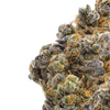 In-house Plato O Plomo- Hydro- 29.509 THCa%- Hybrid