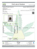 In-house Plato O Plomo- Hydro- 29.509 THCa%- Hybrid