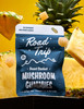 Road Trip- Mushroom Gummies