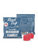 Road Trip- Mushroom Gummies- 2Pkt