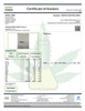 CBDa : CBD Oil Tincture