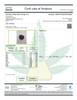 Alien Pebbles- Living Soil- High THCa 29.049%- Hybrid