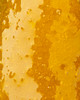 In-House Resin; God's Gift- THCa 79.494%
