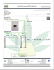 East Side OG- Living Soil- High THCa 30.923%- Indica