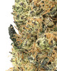 Detroit Muscle- Living Soil- High THCa 29.159%- Hybrid