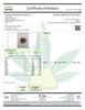 OZ- In-House Astronaut Status #24- Hydro High THCa 29.372%- Hybrid