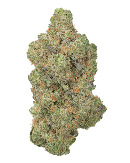 THCa Skunk Indoor Living Soil