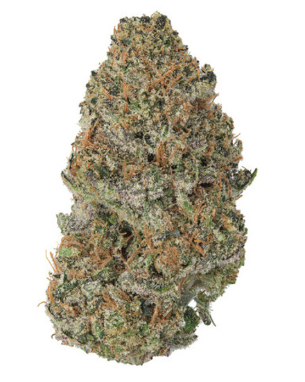 CBD Blueberry Waffles Indoor
