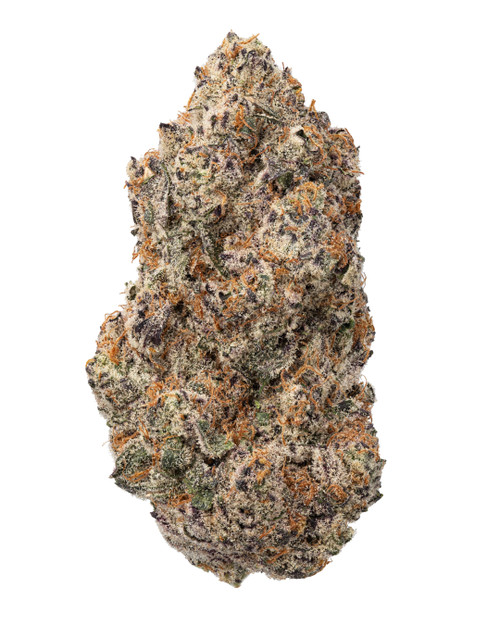 THCa Colorado Nightshifter Indoor Hydro THCa Colorado Nightshifter Indoor Hydro