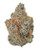 THCa Gasteroids Indoor Living Soil