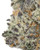THCa Jelly Donuts Indoor Living Soil