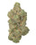 THCa Skunk Indoor Living Soil