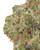 THCa Skunk Indoor Living Soil