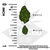 THCa Cresco Crown Indoor Living Soil