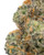 THCa Lava Cake Indoor Living Soil