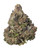 THCa Guava Jam Indoor Living Soil
