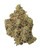 CBD Apple Sauce