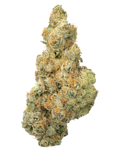 In-House Lurch- Hydro- High THCa 29.577%- Hybrid