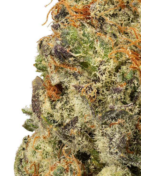 In-House Lemon Berry Hydro High 28.710% THCa - Sativa